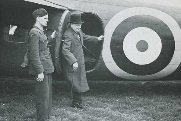 Churchill with Flamingo
